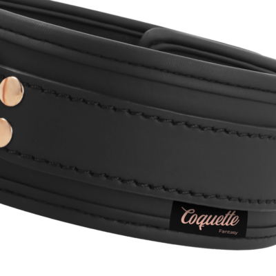 COQUETTE CHIC DESIRE FANTASY VEGAN COLAR DE COURO 15 Coquette chic desire fantasy vegan colar de couro - image 7