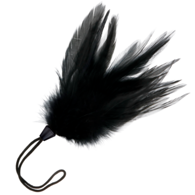 Alternative view of DARKNESS BLACK FEATHER 17cm