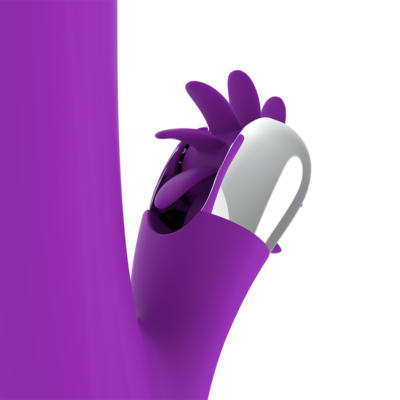 Fun function bunny funny rotation 2. 0 fun function caliente. Pt