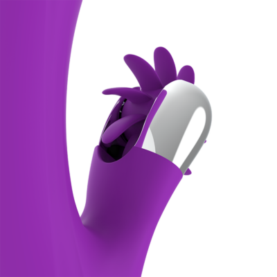 Fun function bunny funny wave 2. 0 fun function caliente. Pt