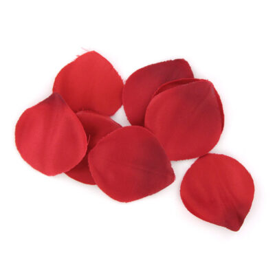 Extase sensuel coffret rouge tentation extase sensual caliente. Pt