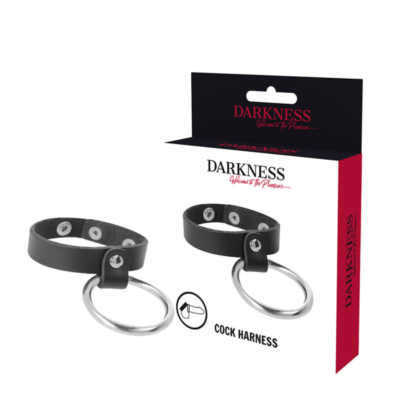 Alternative view of DARKNESS METAL RING FOR THE PENIS AND TESTICLES