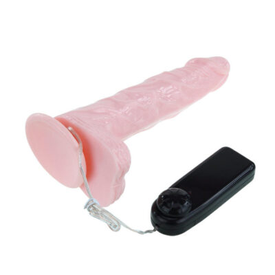 LY - BAILE SUPER VIBRO DONG V 11 Ly - baile super vibro dong v - image 4