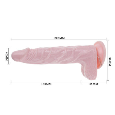 LY - BAILE SUPER VIBRO DONG V 12 Ly - baile super vibro dong v - image 5
