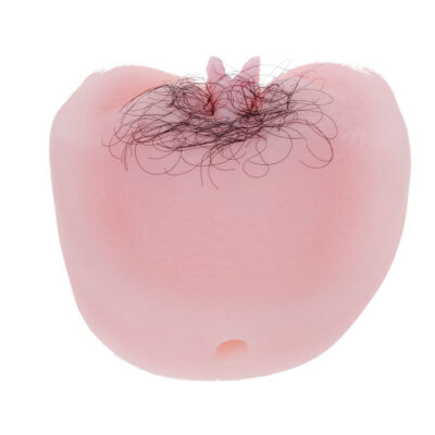 Anthea magic flesh vibraton pussy baile for him caliente. Pt
