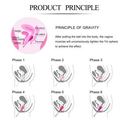 LESLIE KEGEL FIT PELVIC MUSCLE TRAINING CONJUNTO 6 PCS 32 Leslie kegel fit pelvic muscle training conjunto 6 pcs leslie caliente. Pt