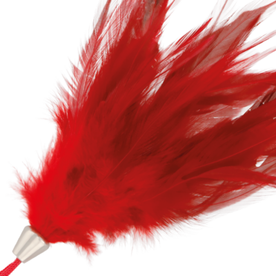 Alternative view of DARKNESS RED FEATHER 17cm