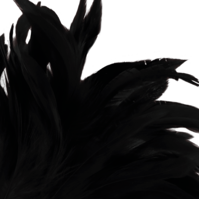 Darkness black feather lux darkness sensations caliente. Pt