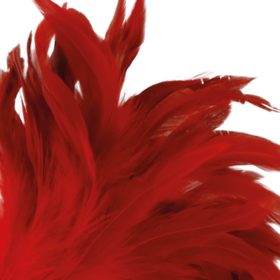 Alternative view of DARKNESS RED FEATHER 24cm