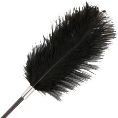 Alternative view of COLHEITA DE PENA DA ESCURIDÃO. PRETO 56CM
