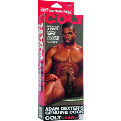 Alternative view of COLT ADAM DEXTER'S GALO