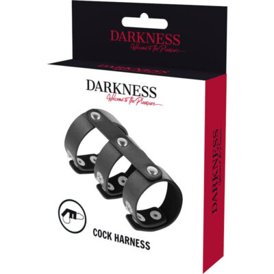 Darkness adjustable leather double penis and testicles ring darkness bondage caliente. Pt