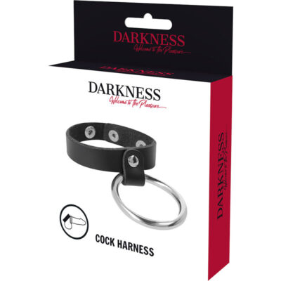 Darkness metal ring for the penis and testicles darkness bondage caliente. Pt