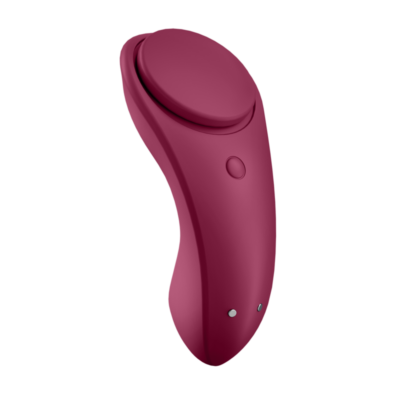 Satisfyer sexy secret panty - image 5