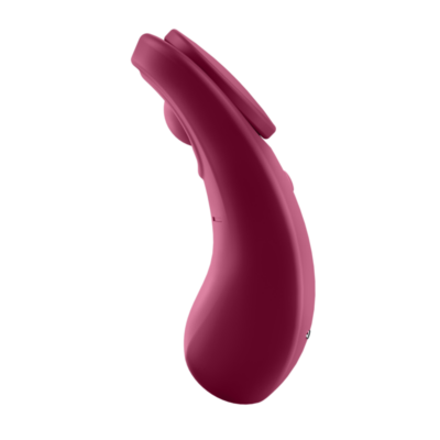 Satisfyer sexy secret panty - image 6