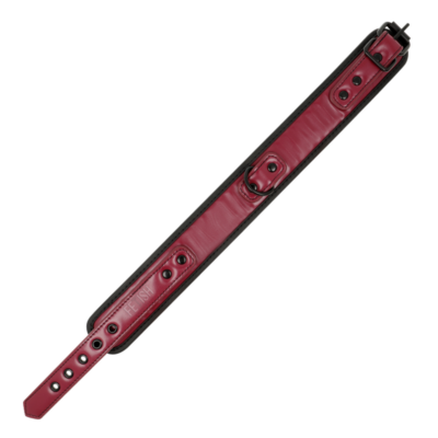 Fetish submissive dark room colar com trela fetish submissive dark room caliente. Pt