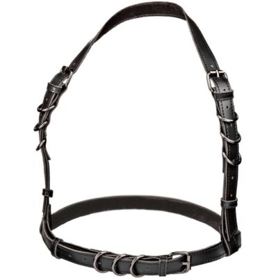 Calexotics - euphoria arnês de fivela halter preto calexotics caliente. Pt