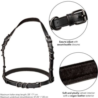 Calexotics - euphoria plus size halter fivela arnês preto calexotics caliente. Pt