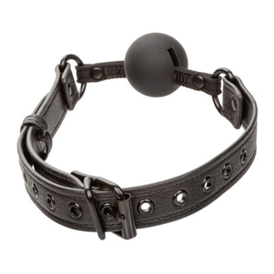 Calexotics - nocturnal mordaça de bola silicone preto calexotics caliente. Pt