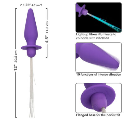 Calexotics - southern lights light up anal plug 10 vibrações silicone roxo calexotics caliente. Pt