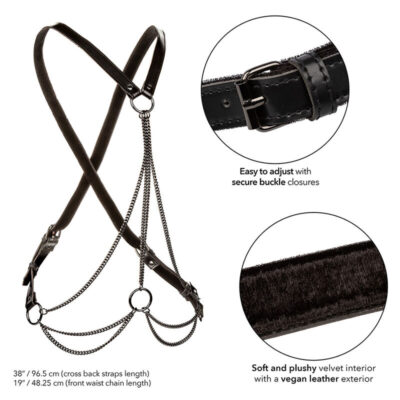 Calexotics - euphoria multicantes harness premium tamanho plus calexotics caliente. Pt