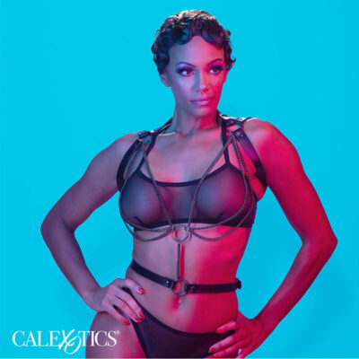 Calexotics - euphoria arreio de cabide multicantes premium calexotics caliente. Pt
