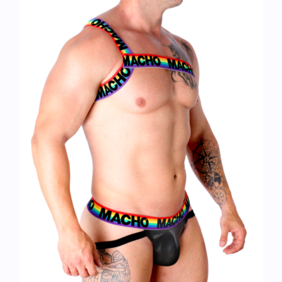 Alternative view of MACHO - ARNÊS ROMANO PRIDE L/XL
