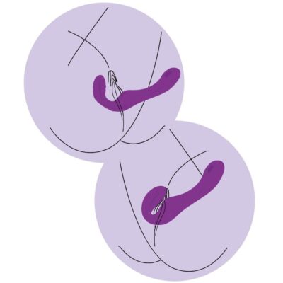 Xocoon - vibrador strap-on 2 em 1 sem alças com controle remoto roxo xocoon caliente. Pt