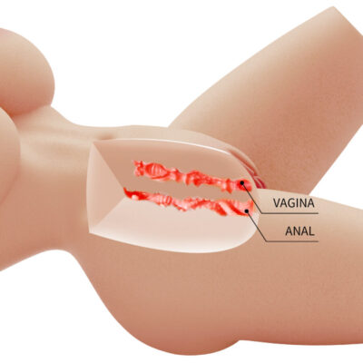 Crazy bull - lily tronco feminino realista vagina e anal 4 kg crazy bull caliente. Pt