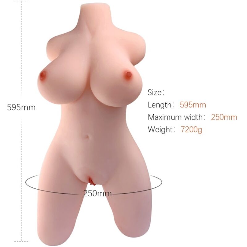 ARMONY - MODELO DE TORSO FEMININO REALISTA 2 1 Armony - modelo de torso feminino realista 2
