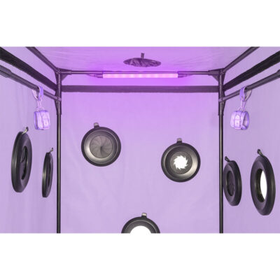 Secret dome - escândalo roxo do clube kink secret dome caliente. Pt