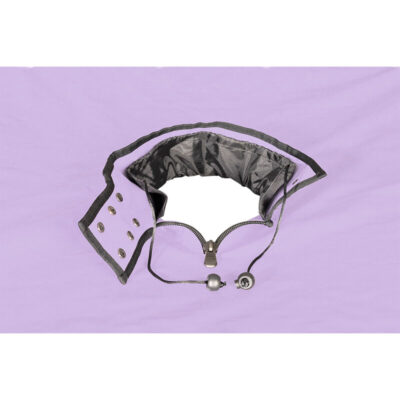 Secret dome - escândalo roxo do clube kink secret dome caliente. Pt