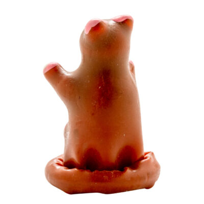 Condomerie - preservativos novidades pintados à mão urso de pelúcia condomerie caliente. Pt