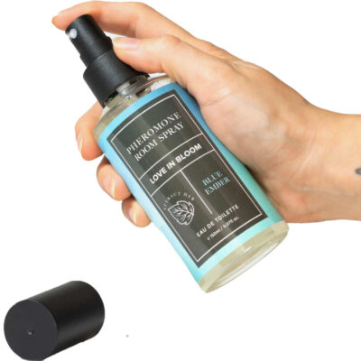 Alternative view of EYE OF LOVE - BLOOM SPRAY DE AMBIENTES INDICA BLUE EMBER 150 ML