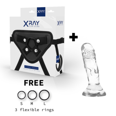 Alternative view of X RAY - ARNÊS + DILDO TRANSPARENTE 12 CM -O- 2.6 CM