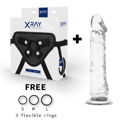 Alternative view of X RAY - ARNÊS + DILDO TRANSPARENTE 21 CM -O- 4 CM