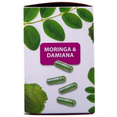 HOT - MORINGA BONÉS DE FEMININOS 60 UNIDADES 9 Hot - moringa bonés de femininos 60 unidades hot caliente. Pt