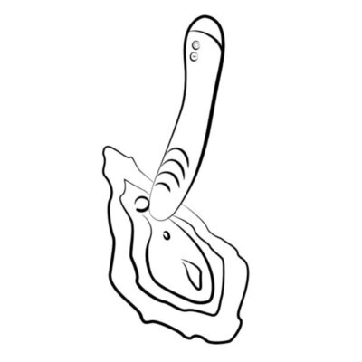 Romp - hype vibrador multifuncional para ponto g vermelho romp caliente. Pt