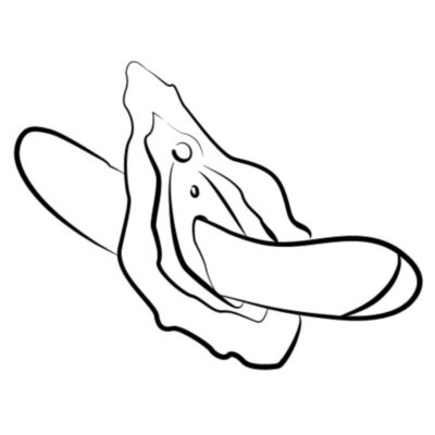 Romp - hype vibrador multifuncional para ponto g vermelho romp caliente. Pt
