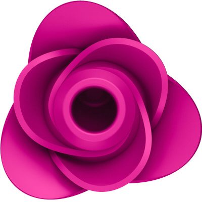 Satisfyer - air pulse pro 2 modern blossom vibrador - image 2
