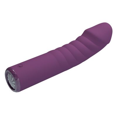 Pretty love - vibrador recarregável ryland com 10 funções - roxo - image 6